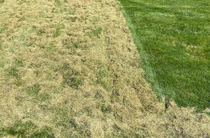 YARDCARE Electric Dethatcher and Scarifier