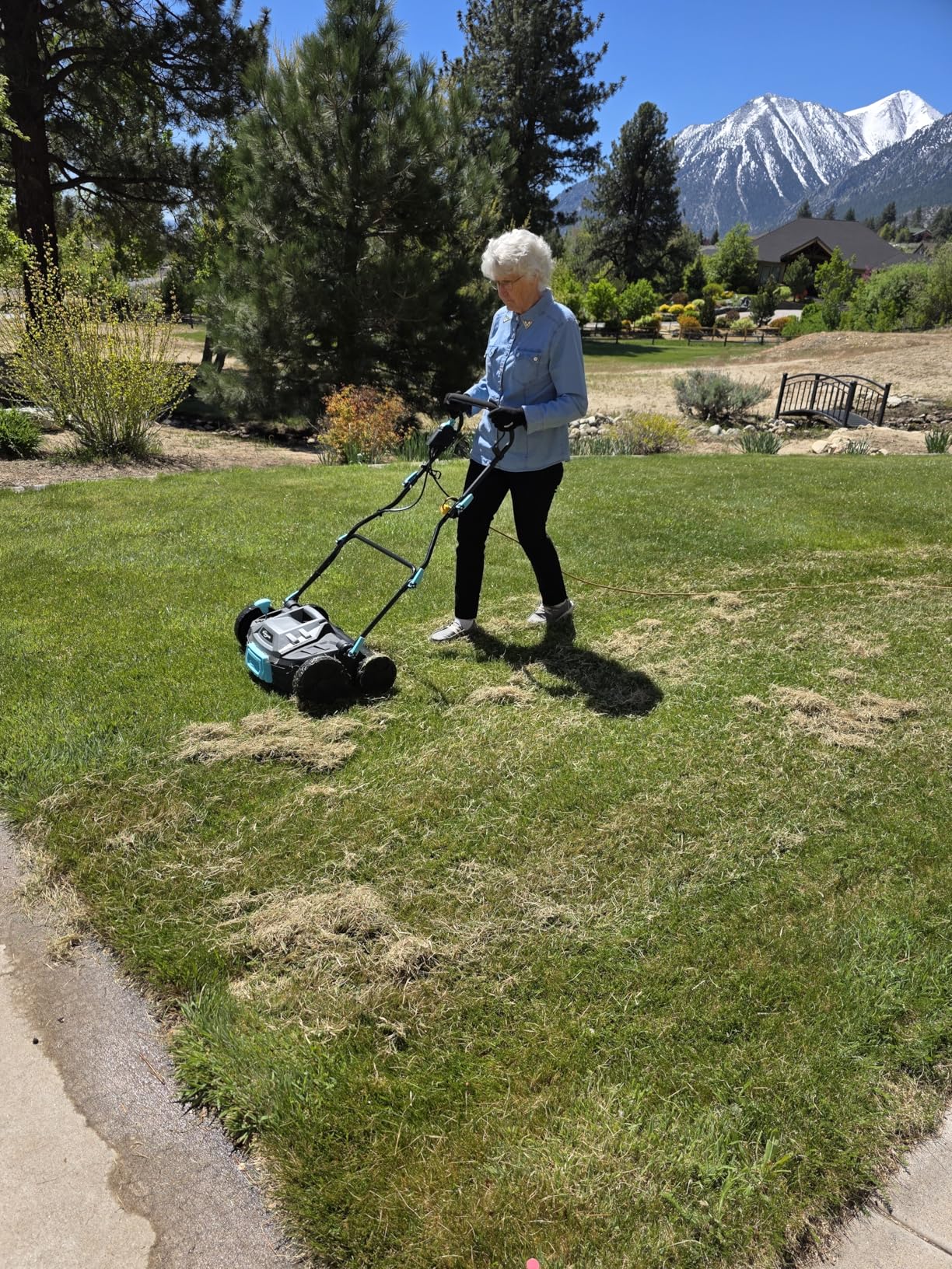 YARDCARE Electric Dethatcher and Scarifier with easy to control