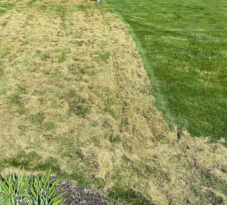 YARDCARE Dethatcher & Scarifier